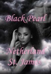 Picture of cover for next Netherland St. James book.